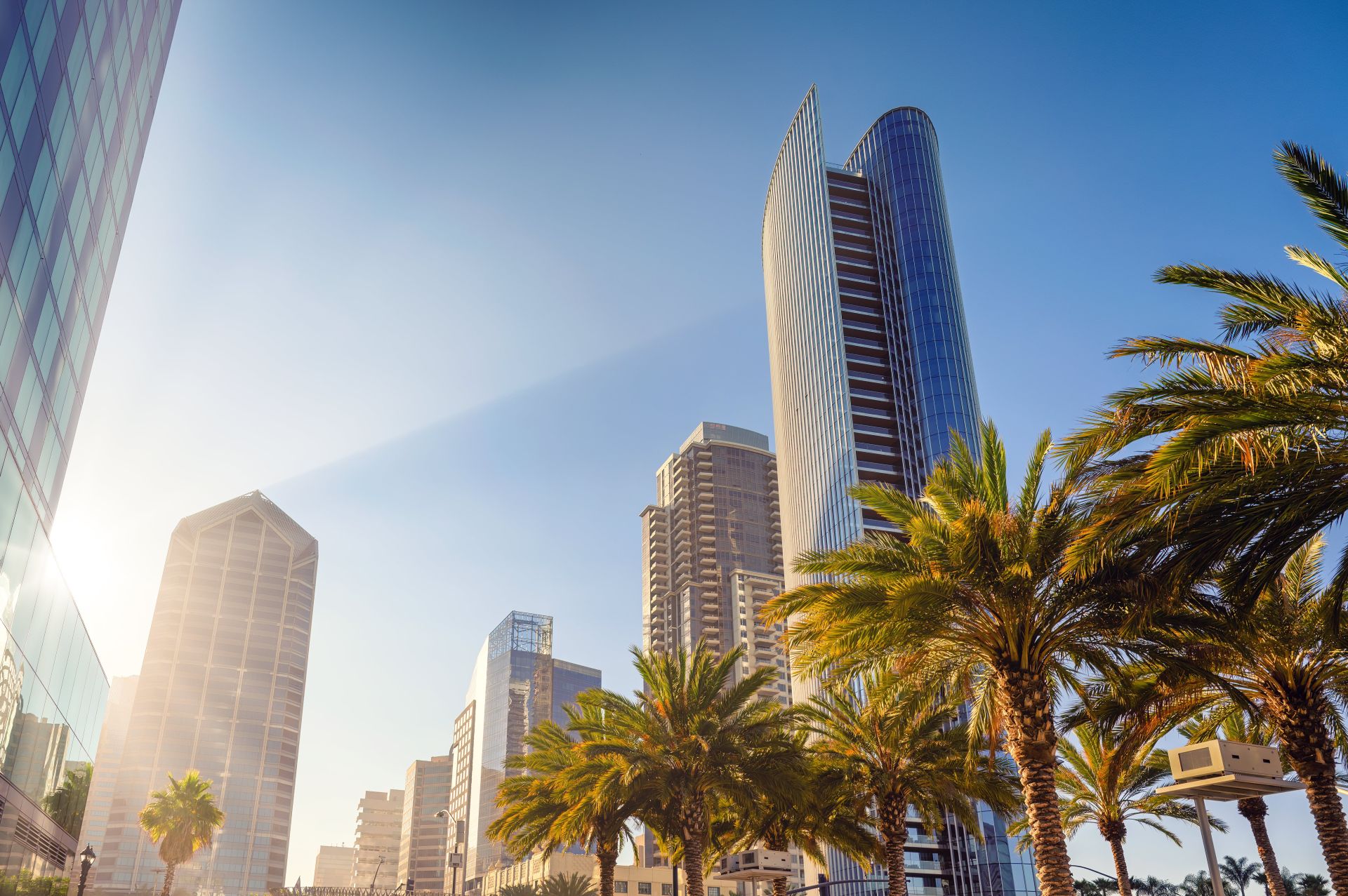 Green Palm Trees Near City Buildings